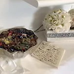 Garden Πανσιόν Όλμπια