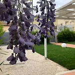 Πανσιόν Garden Όλμπια