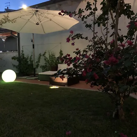 Garden 3* أولبيا