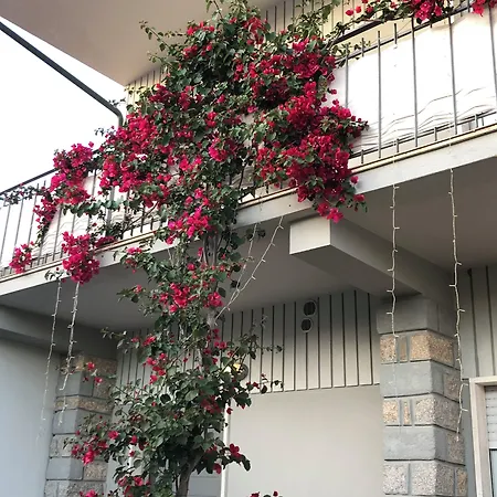 Garden 3* Olbia