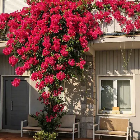 Pensión Garden Olbia
