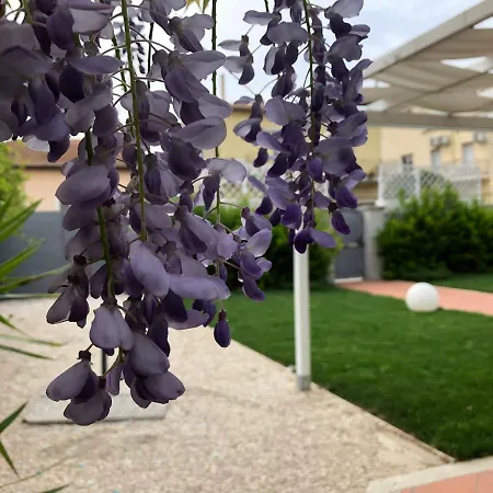 بيت ضيافة Garden أولبيا